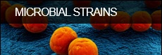 microbial strains